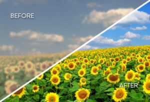 From blurry to clear: A look at how cataract surgery can change your life