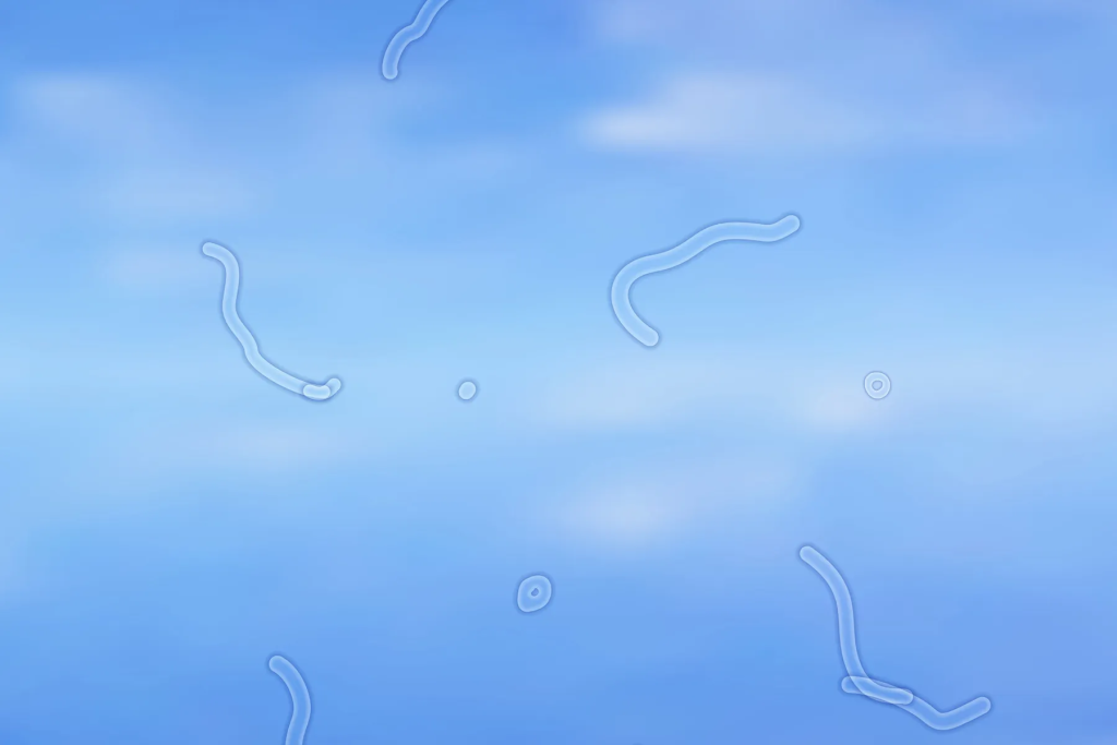 Floaters